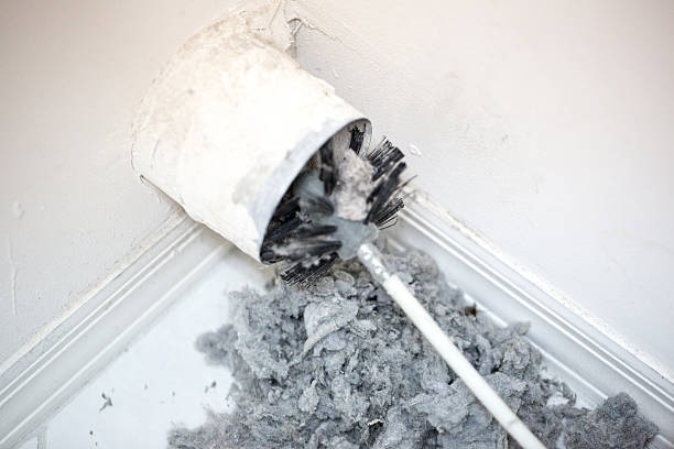 Best Air Duct Mold Removal  in East Aurora, NY